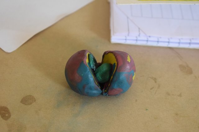 Cell (4)